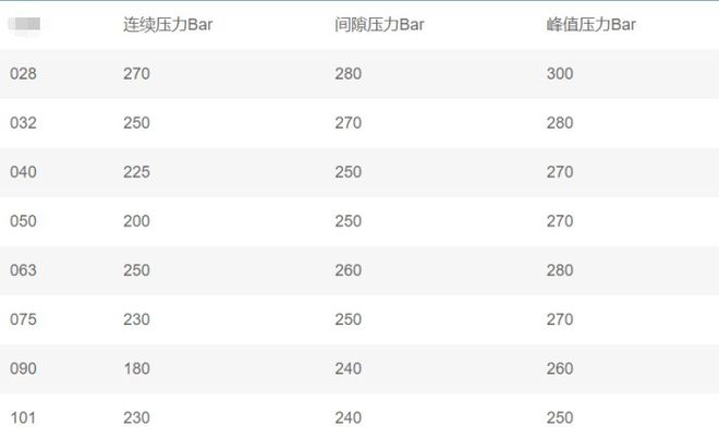 890-SFM-063-FS2-5502伺服系統(tǒng)油泵特點(diǎn)(圖2)