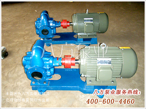 九游體育齒輪泵KCB300齒輪油泵-八方KCB300油泵-北京八方泵業(yè)機械有限責任公司