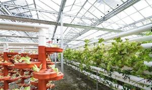 九游體育數(shù)控機床行業(yè)未來發(fā)展趨勢及前景分析2024(圖6)